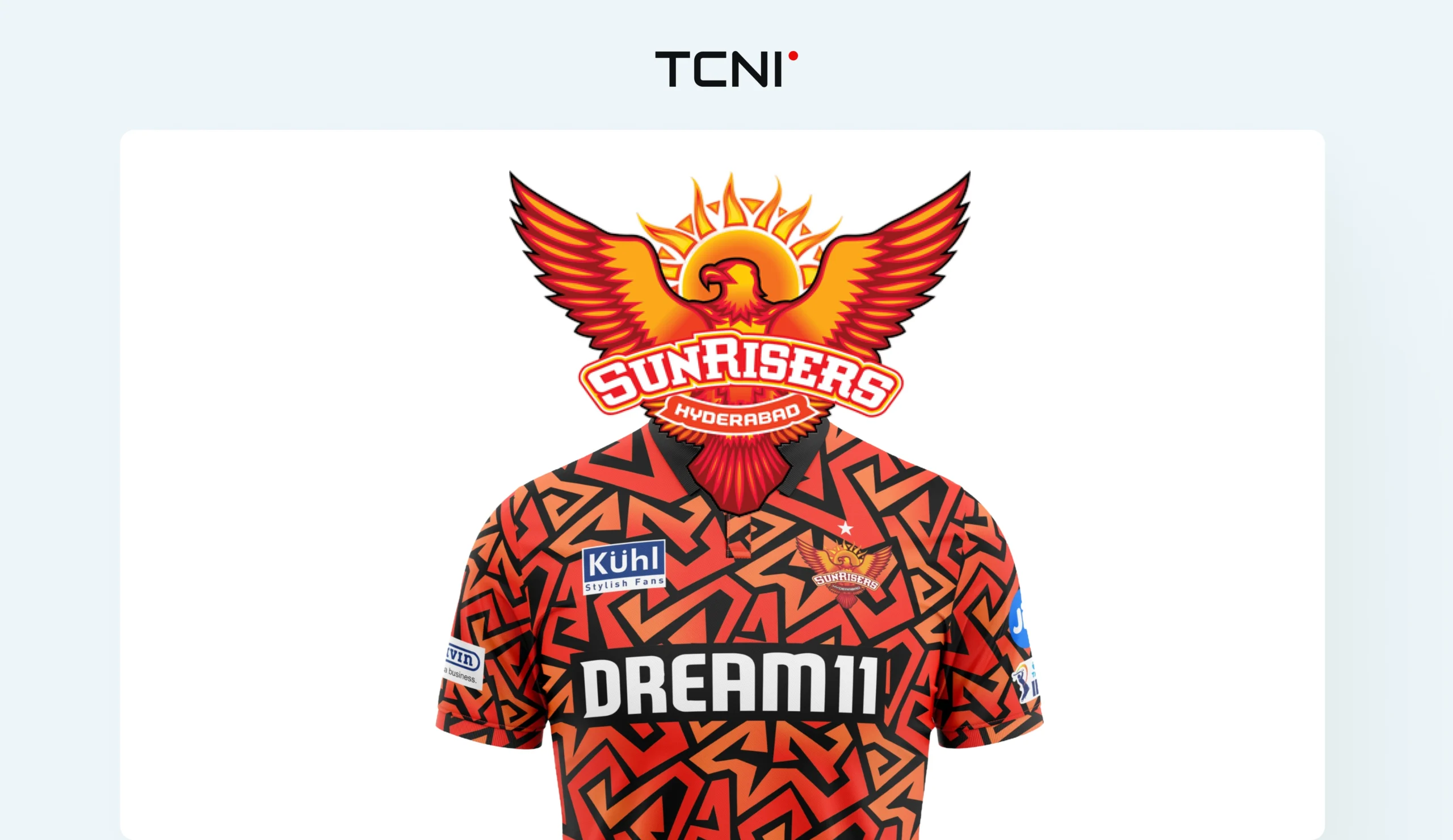 Formed in 2013 Sunrisers Hyderabad is a dominant IPL team.