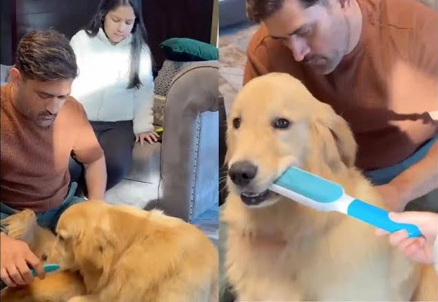 MS Dhoni shared a heartwarming video with his daughter Ziva and their pet dog.