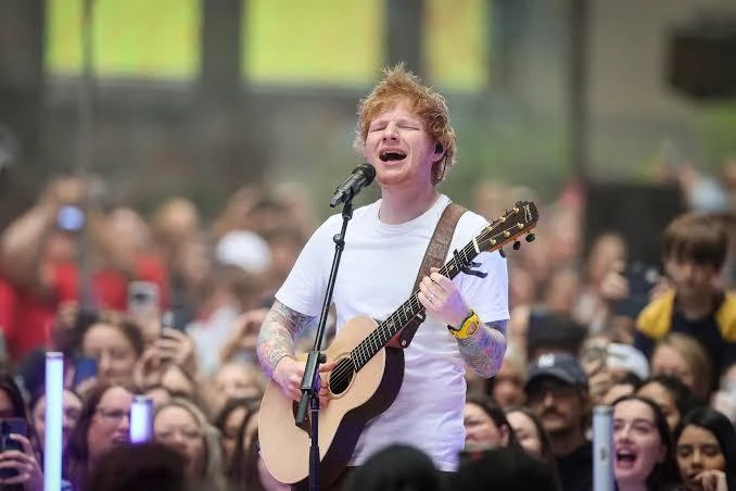 Ed Sheeran was seen playing cricket with Rajasthan Royals players.